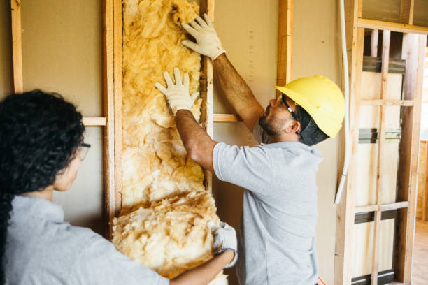 Best Best Insulation Companies  in Keene, NH