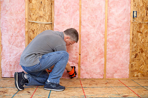 Best Professional Insulation Contractor  in Keene, NH